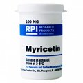 Rpi Myricetin, 100 MG M95100-0.1
